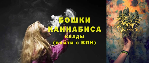 ГАЛЛЮЦИНОГЕННЫЕ ГРИБЫ Осташков