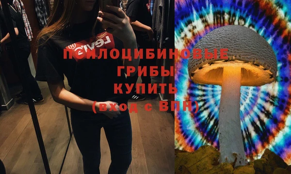 ECSTASY Нягань