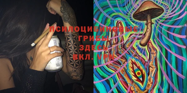 ГАЛЛЮЦИНОГЕННЫЕ ГРИБЫ Осташков
