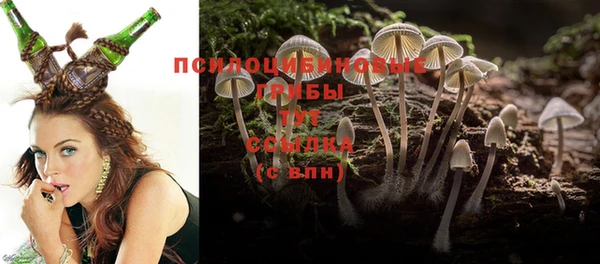 бошки Осинники