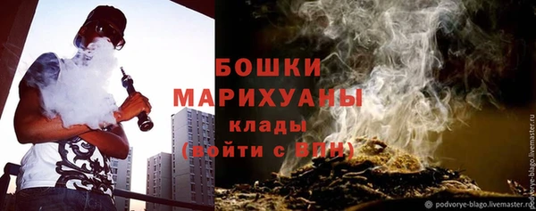бошки Осинники