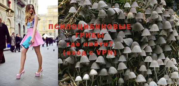 ГАЛЛЮЦИНОГЕННЫЕ ГРИБЫ Осташков