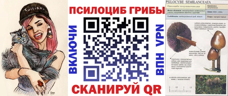 Псилоцибиновые грибы ЛСД  ссылка на мегу рабочий сайт  Бугуруслан 