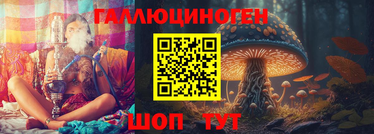 Галлюциногенные грибы Psilocybine cubensis  Бугуруслан 