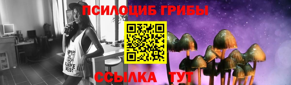 Галлюциногенные грибы Psilocybe Бугуруслан